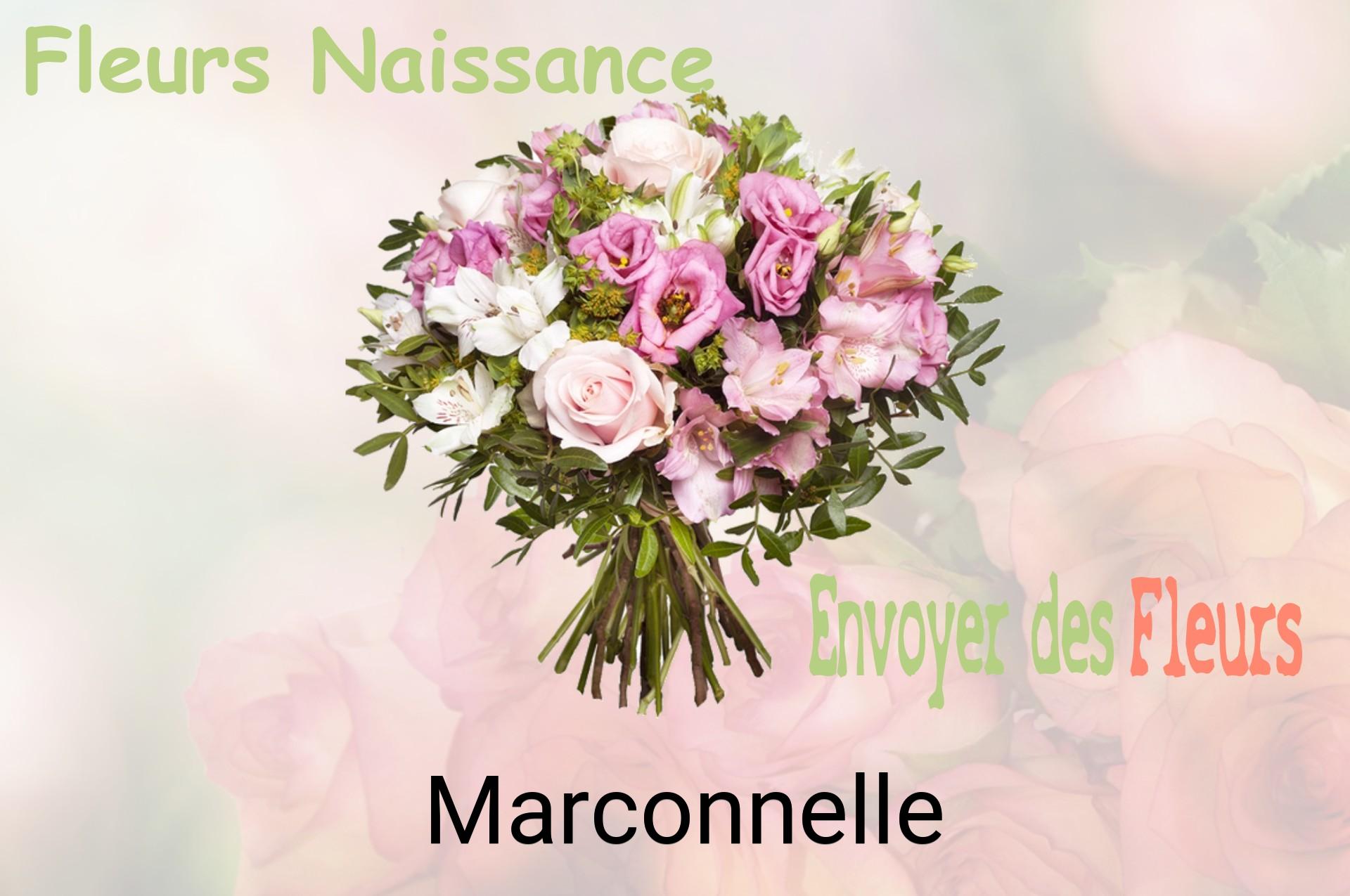 Bouquet de fleurs de naissance livré à Marconnelle